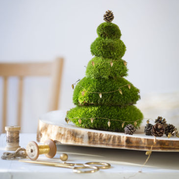 Mon sapin miniature de Noël